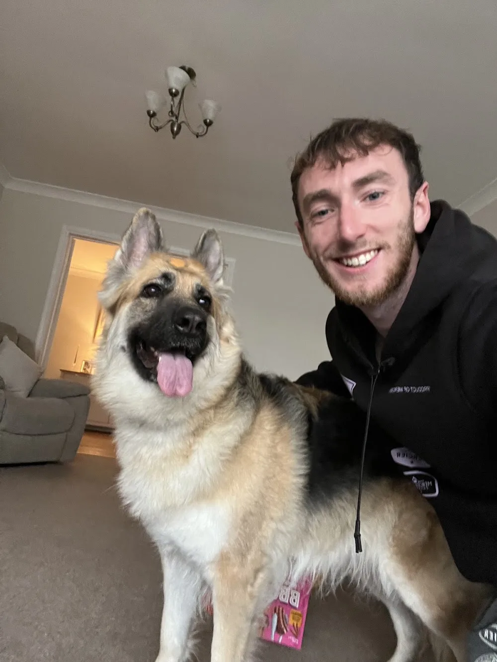 Jamie’s Dog Walking & Boarding Services Luton - Central Bedfordshire pet otel
