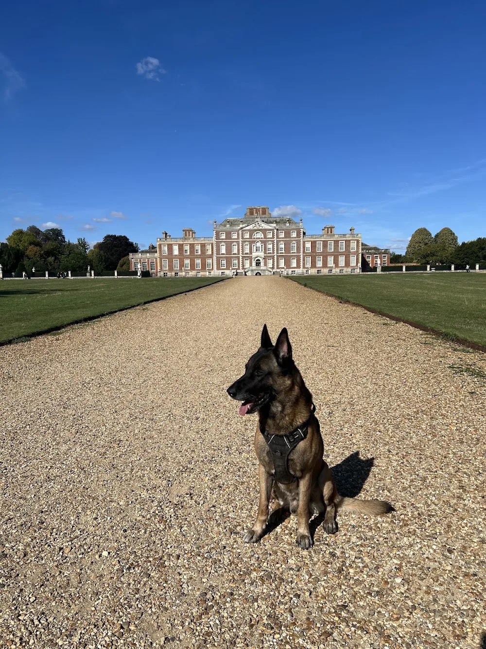 Jamie’s Dog Walking & Boarding Services Luton - Central Bedfordshire pet otel görseli 3