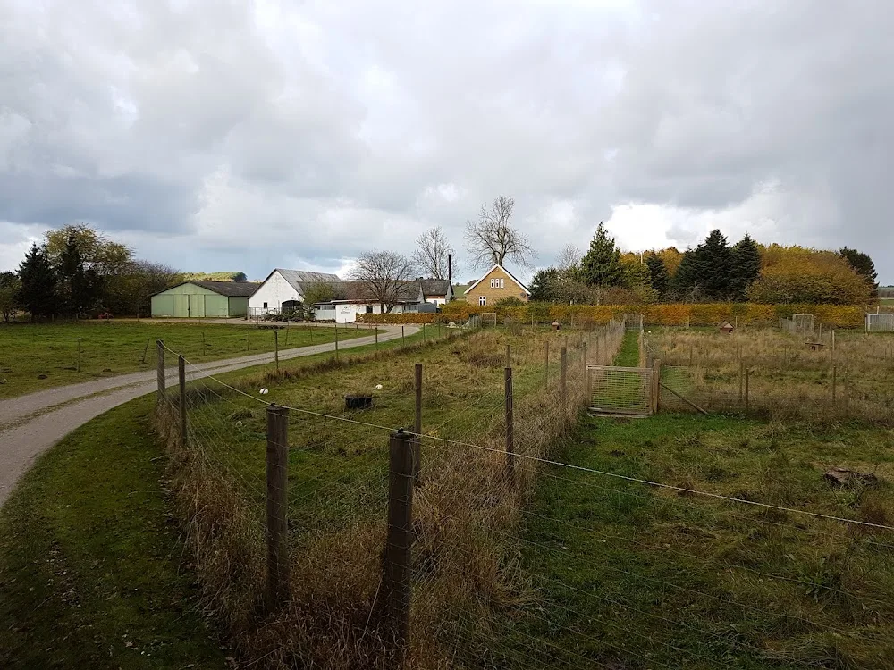 Egehøj Dyrepension - Central Denmark pet otel