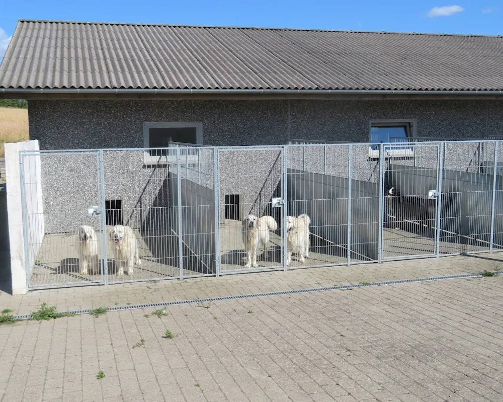 Elbjerglund's Hundepension - Central Denmark pet otel görseli 6