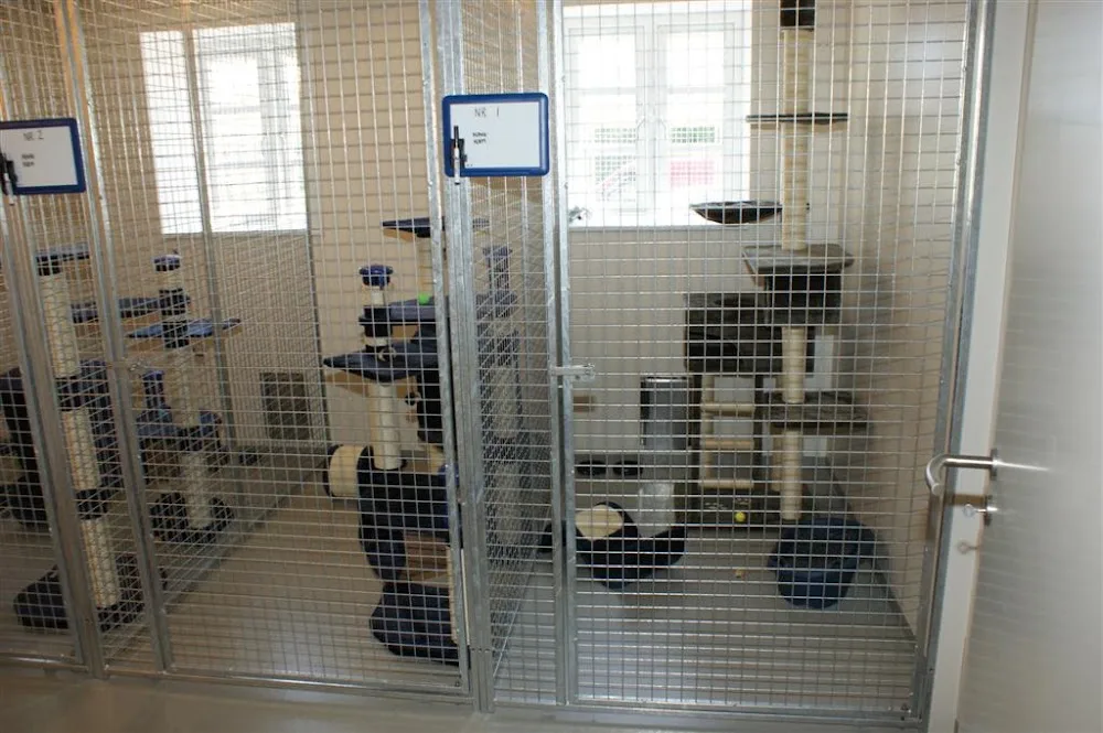 Frisenborg Kattepension - Central Denmark pet otel görseli 3