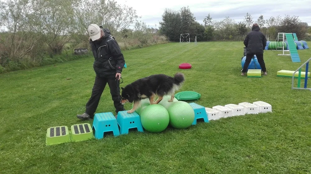 Hundehuset i Hadsten - Central Denmark pet otel