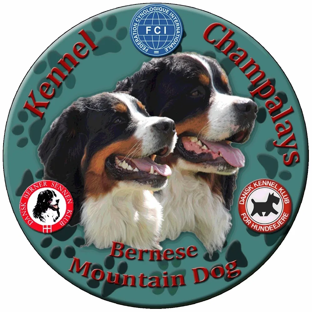 Kennel Champalays - Central Denmark pet otel görseli 4