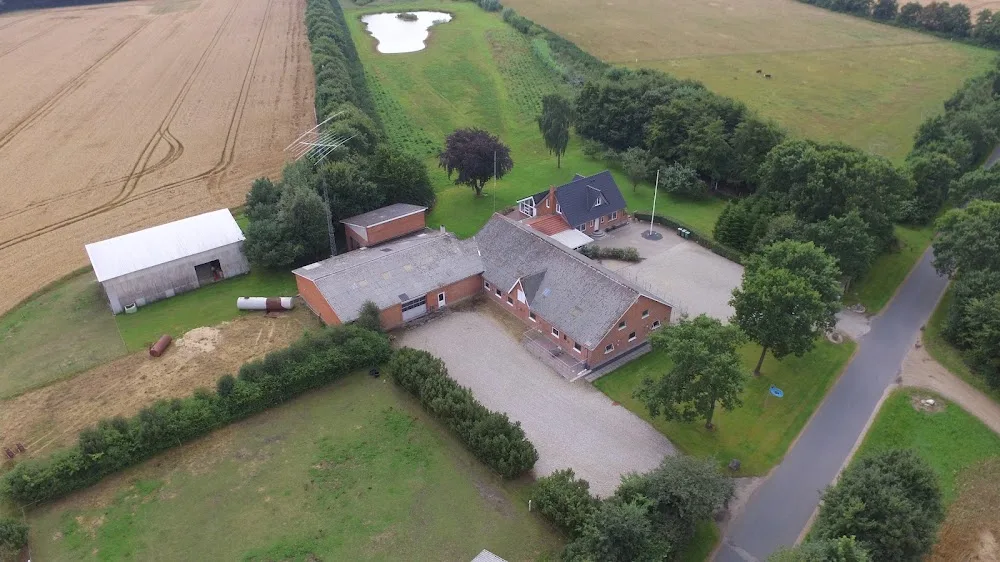 Kennel-Gjedbo opdræt af Bichon Havanais og Coton de Tulear hvalpe. - Central Denmark pet otel görseli 7