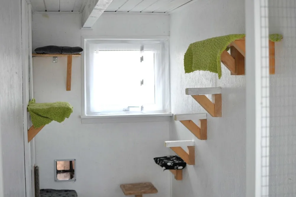 Marias hunde & kattehotel - Central Denmark pet otel