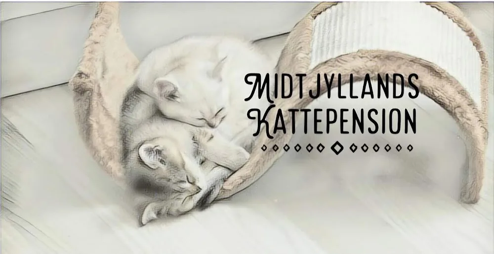Midtjyllands Kattepension - Central Denmark pet otel