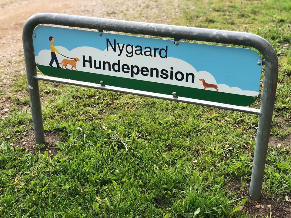 Nygaard Hundepension Røgen - Central Denmark pet otel görseli 6