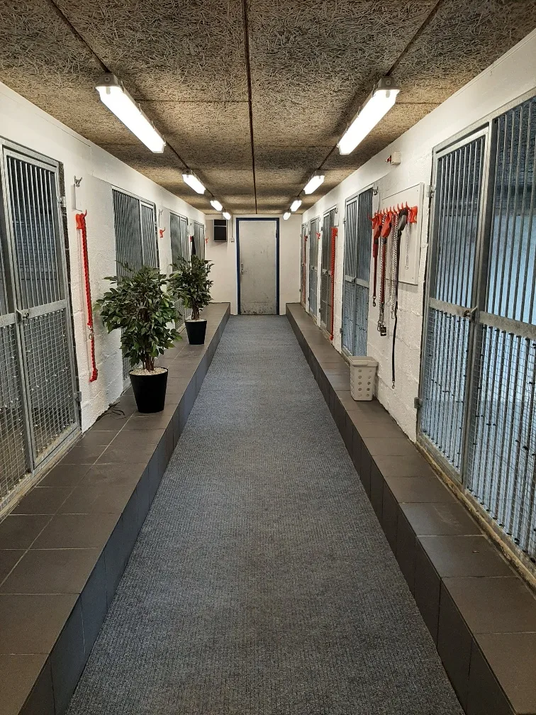 Svejstrup Vestergaard Dyrepension - Central Denmark pet otel