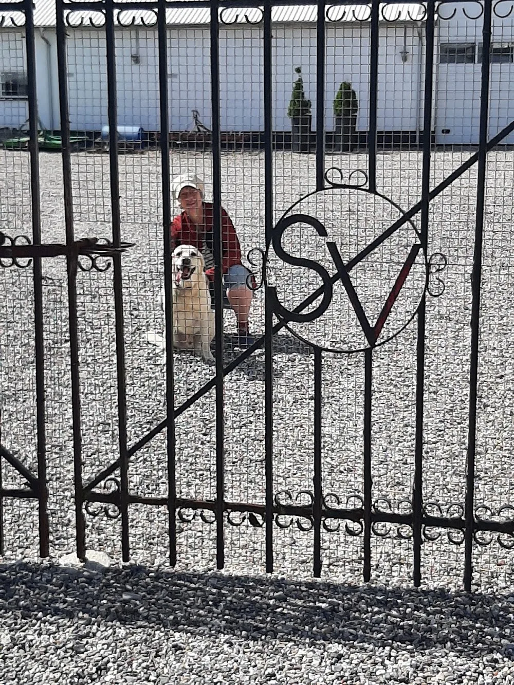 Svejstrup Vestergaard Dyrepension - Central Denmark pet otel görseli 3