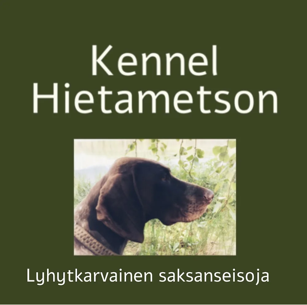 Hietanen Tuija Eva - Central Finland pet otel görseli 3