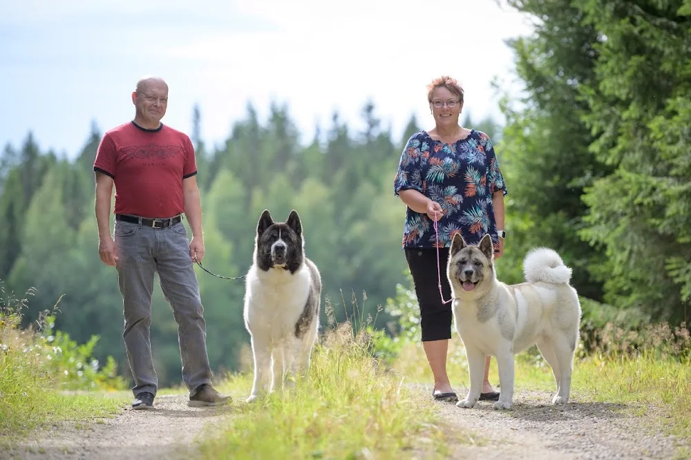 Snowstory's - Central Finland pet otel