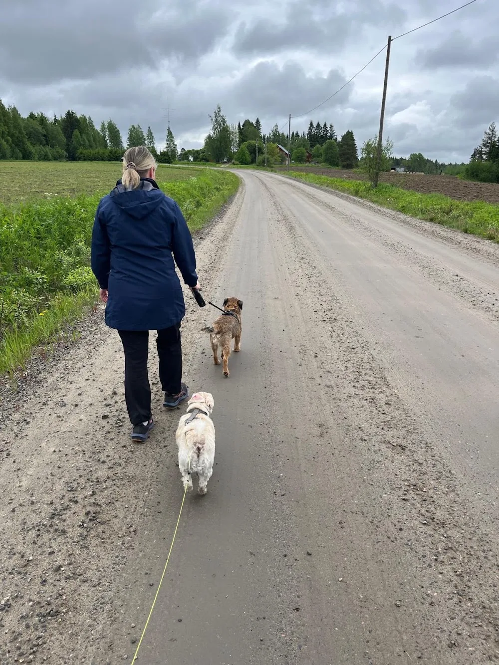Tmi Anne Kautonen - Hyvinvointianne varten - Central Finland pet otel görseli 3
