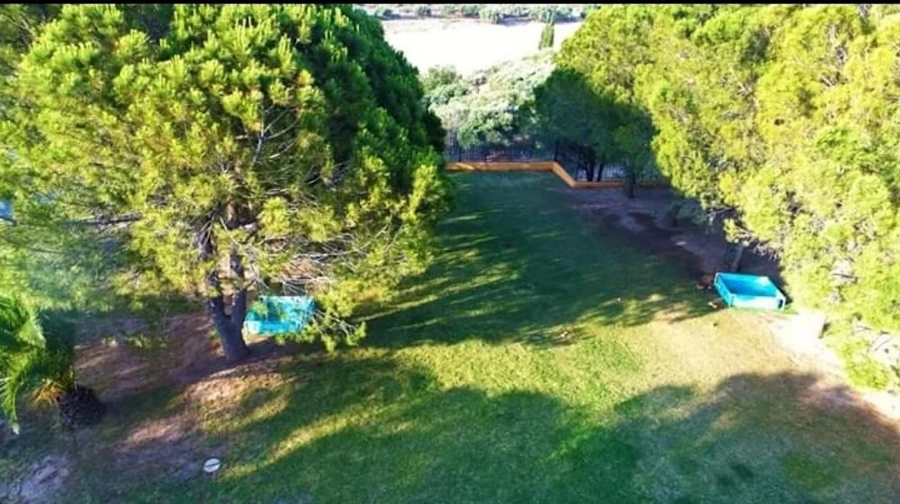 Animal Kennels For Holidays - Central Greece pet otel görseli 14