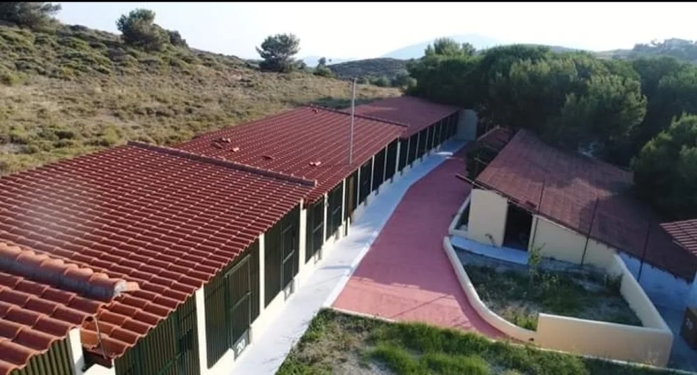 Animal Kennels For Holidays - Central Greece pet otel görseli 7