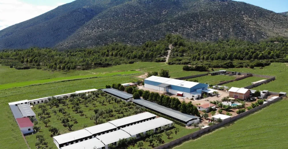 Αvra Farm - Central Greece pet otel görseli 2