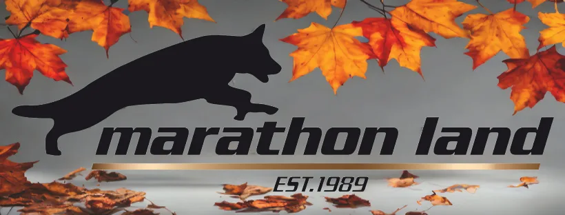 Marathon Land - Central Greece pet otel görseli 10