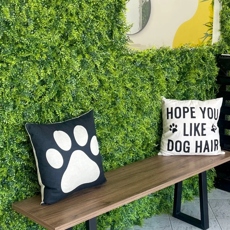 OhMyDog - Κομμωτήριο Σκύλων - Central Greece pet otel görseli 3