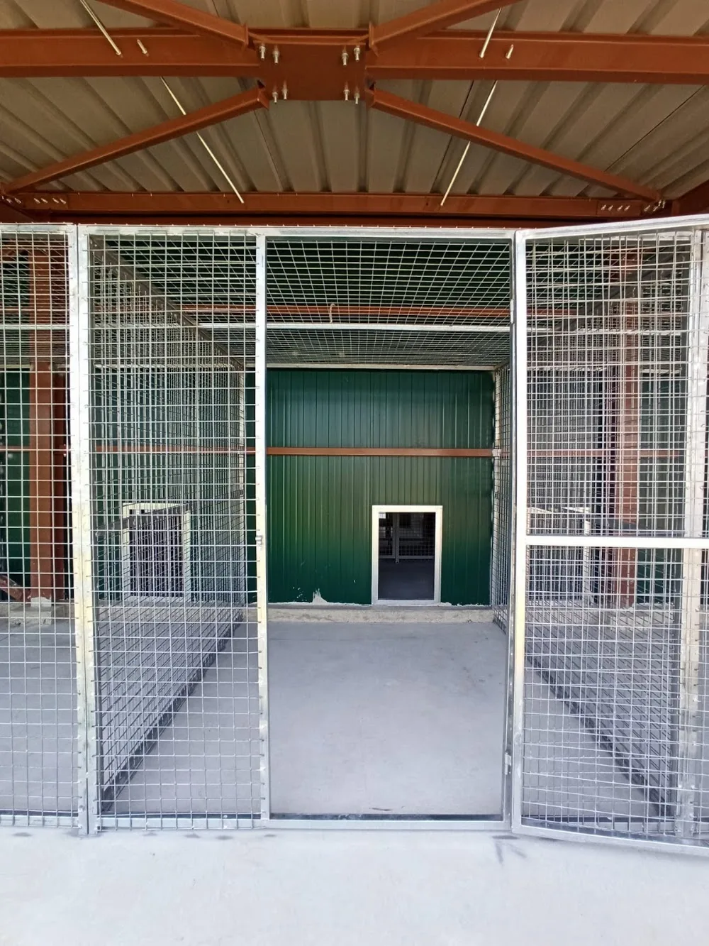 Pet Campus Gr - Ξενοδοχείο σκύλων & γάτων - Central Greece pet otel görseli 15