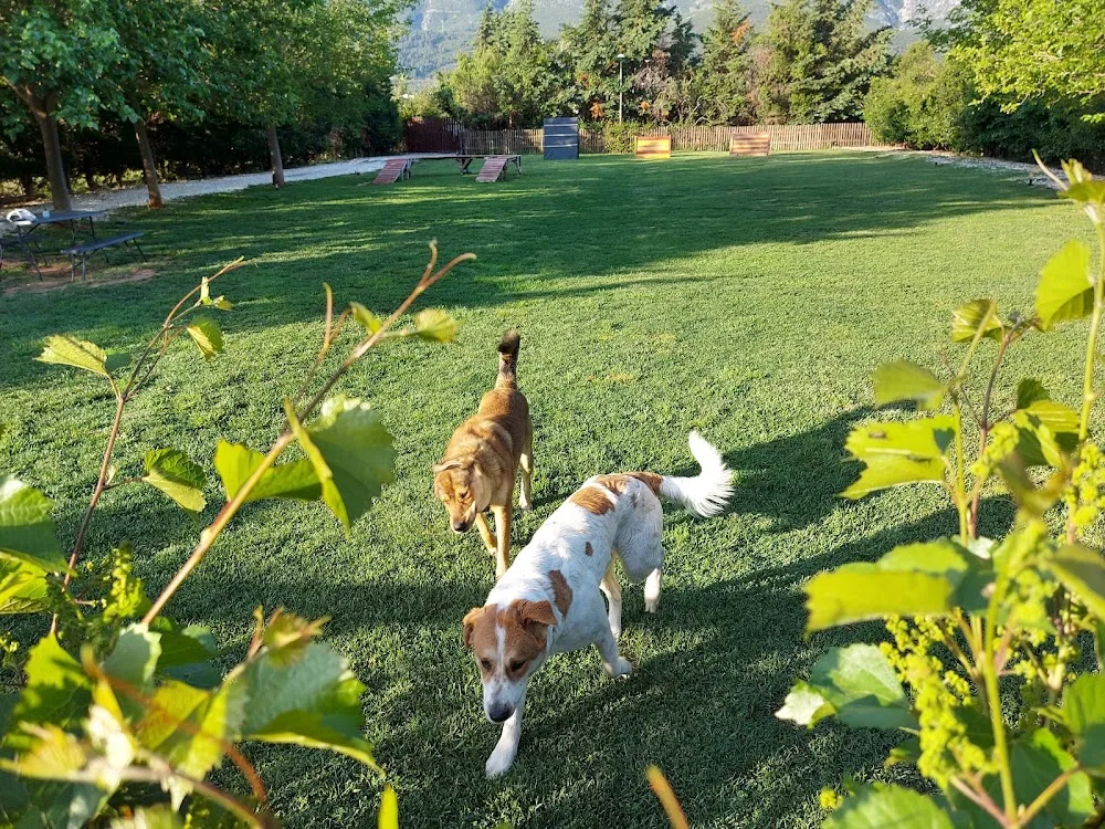 Sweet Paws - Ξενοδοχείο Ζώων - Central Greece pet otel