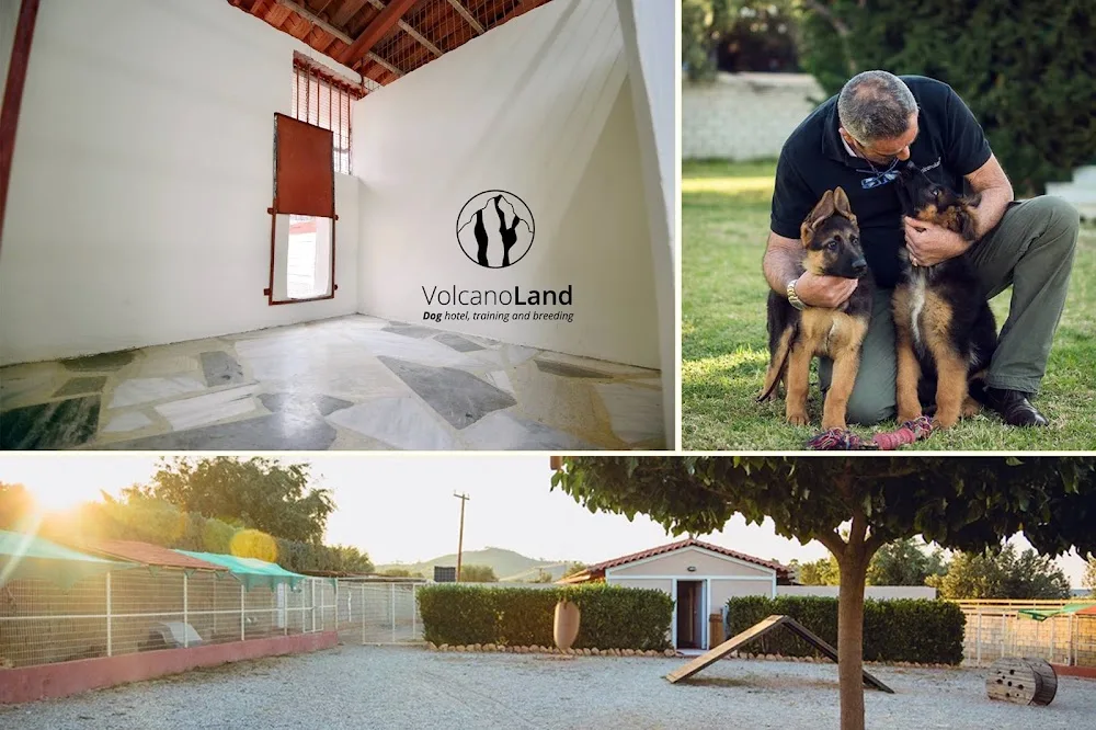 Volcano Land - Ξενοδοχείο σκύλων - Central Greece pet otel