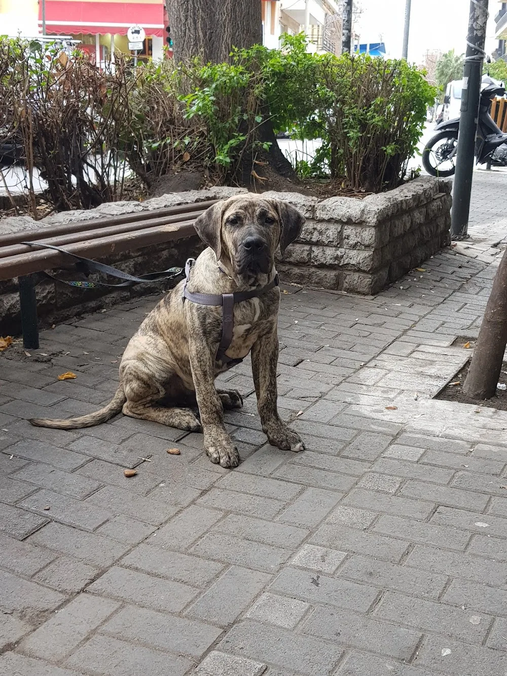 Vom Freileben kennel - Central Greece pet otel görseli 11