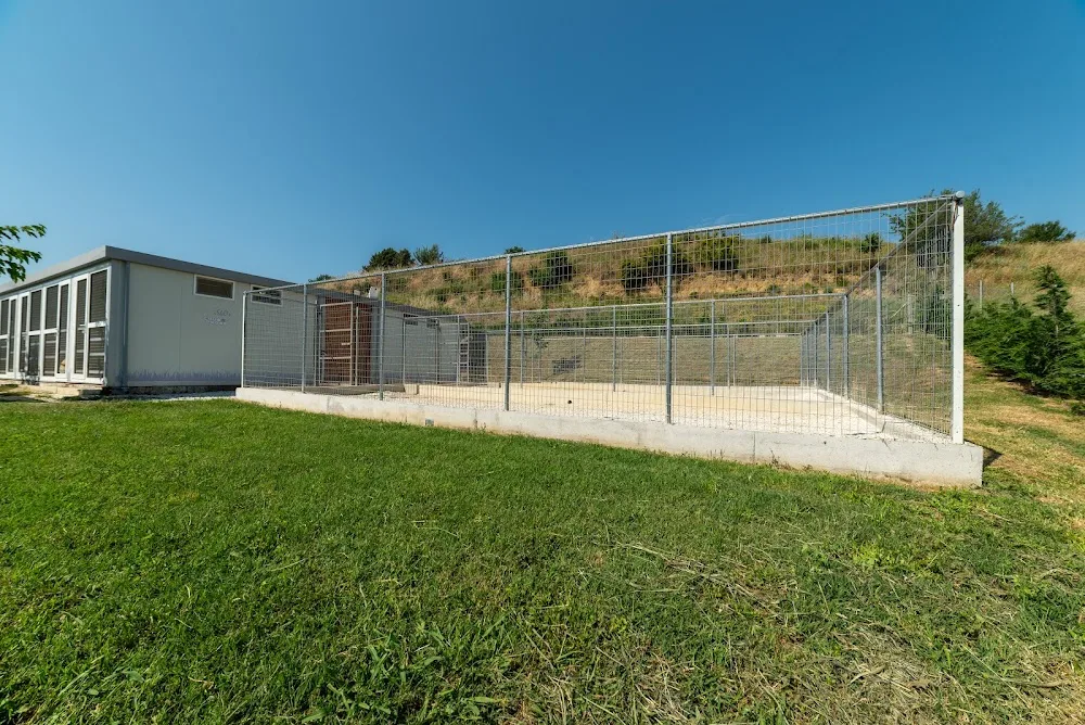 Joy Dog Club- DOG HOTEL - Central Macedonia pet otel görseli 3