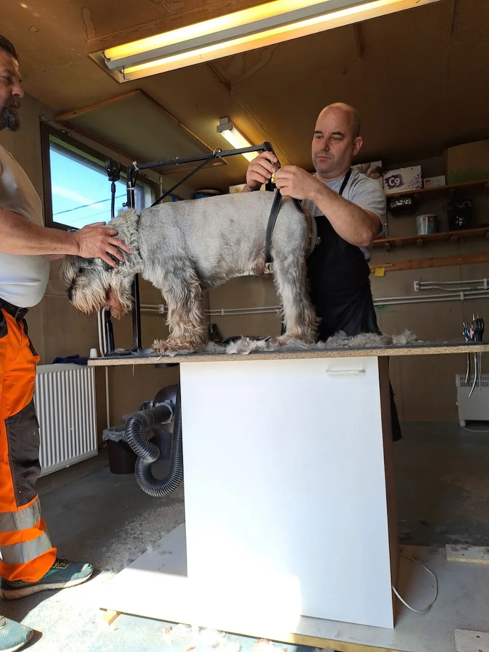 Kalajoen Koirakampaamo - Central Ostrobothnia pet otel görseli 11
