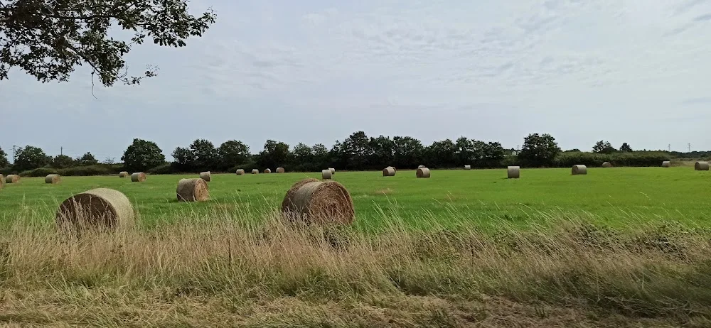 Chenil du Petit Bois - Centre-Val de Loire pet otel