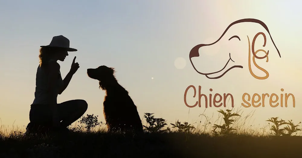 Chien Serein - Pension canine, Parc Canin , éducation canine, photo animalière - Centre-Val de Loire pet otel