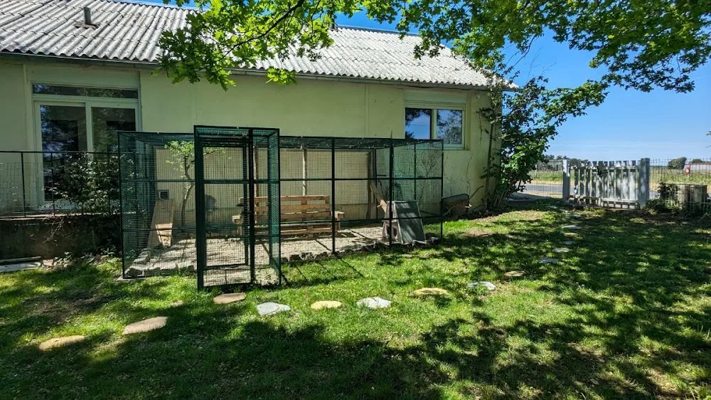HenriCat - Centre-Val de Loire pet otel görseli 2