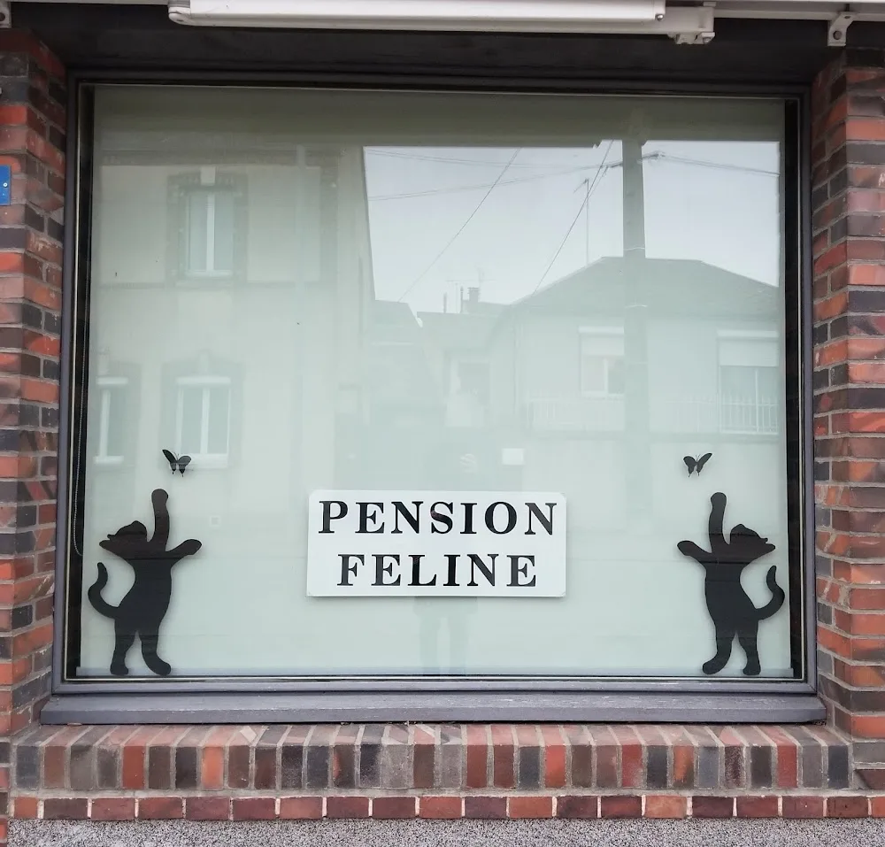 Hôtel des Félins Pension pour chats dans le 28 - Centre-Val de Loire pet otel