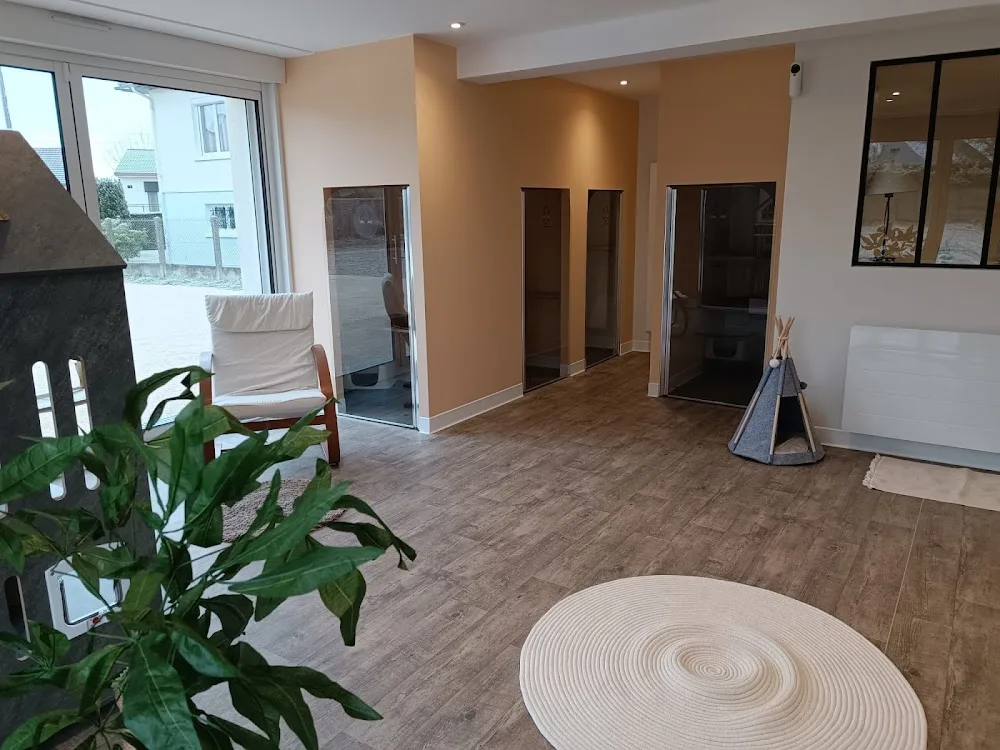 Hôtel Moustaches - Centre-Val de Loire pet otel görseli 6