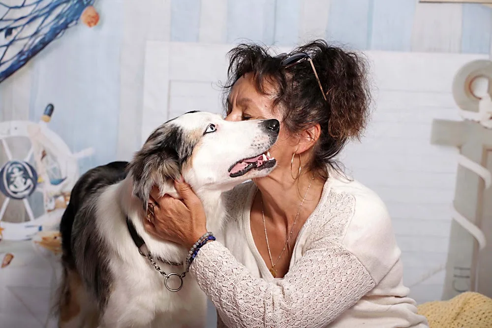 Pension Canine 41 - Centre-Val de Loire pet otel görseli 6
