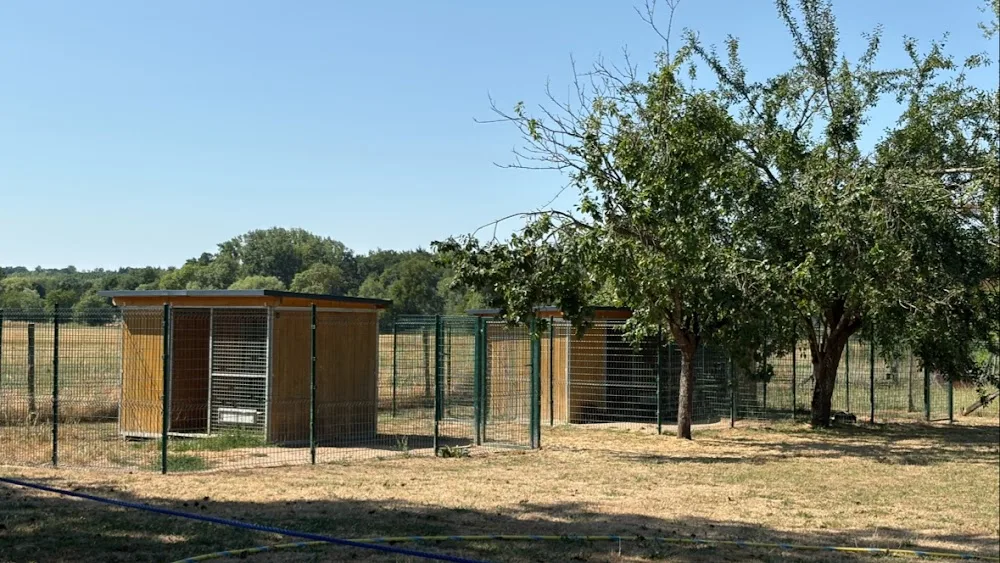 Pension Canine Animo-Services - Centre-Val de Loire pet otel