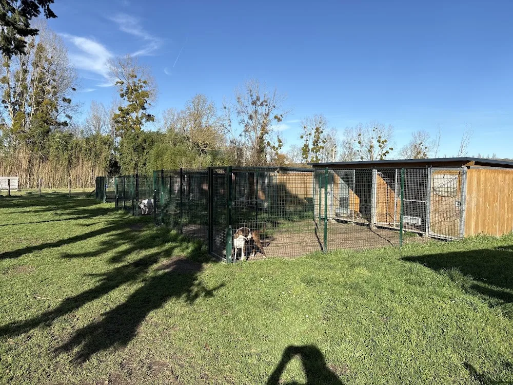Pension Canine Animo-Services - Centre-Val de Loire pet otel görseli 3