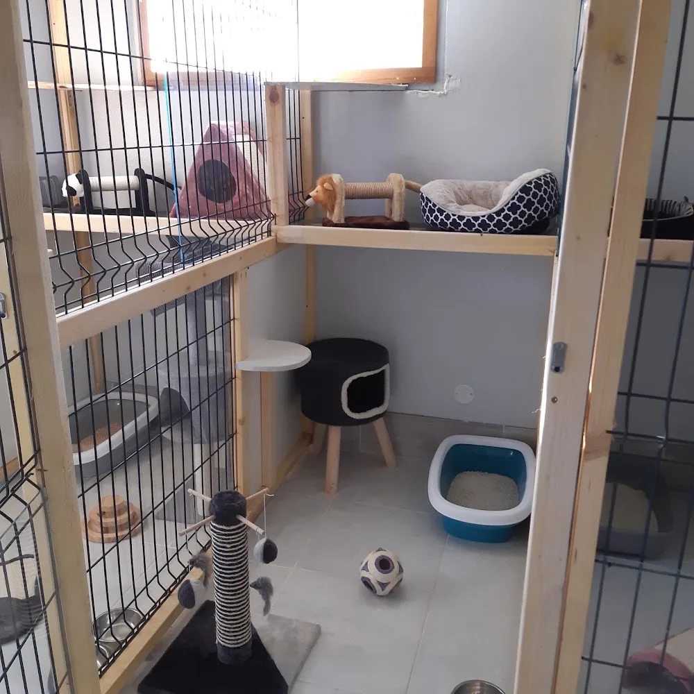 Pension canine et féline des 4'Pattes - Centre-Val de Loire pet otel görseli 3