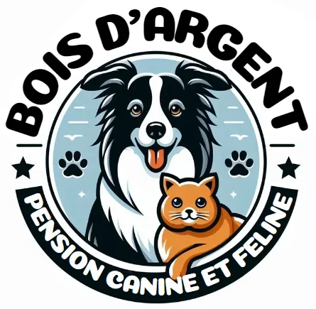 Pension Canine et Féline Du Bois D'Argent - Centre-Val de Loire pet otel görseli 7