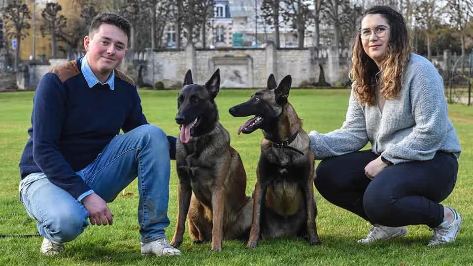 Pension canine et féline du domaine des Flèches d’Artémis - Centre-Val de Loire pet otel