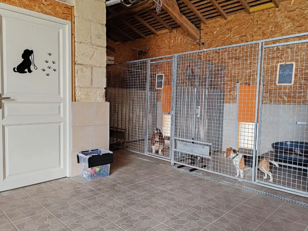 Pension canine La Houssinière - Centre-Val de Loire pet otel
