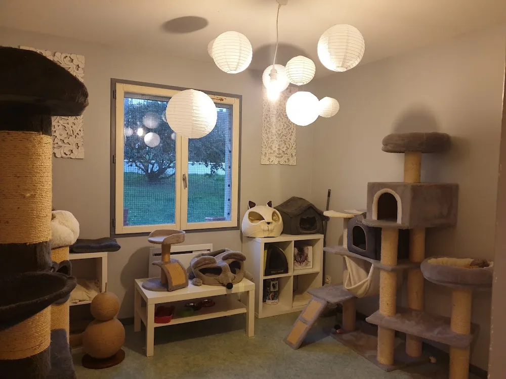 Pension familiale chiens et chats NOZANIMO chez Sylvie - Centre-Val de Loire pet otel görseli 2