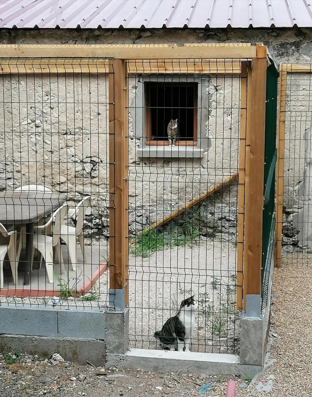 Pension Féline Les Chats Pristy - Centre-Val de Loire pet otel