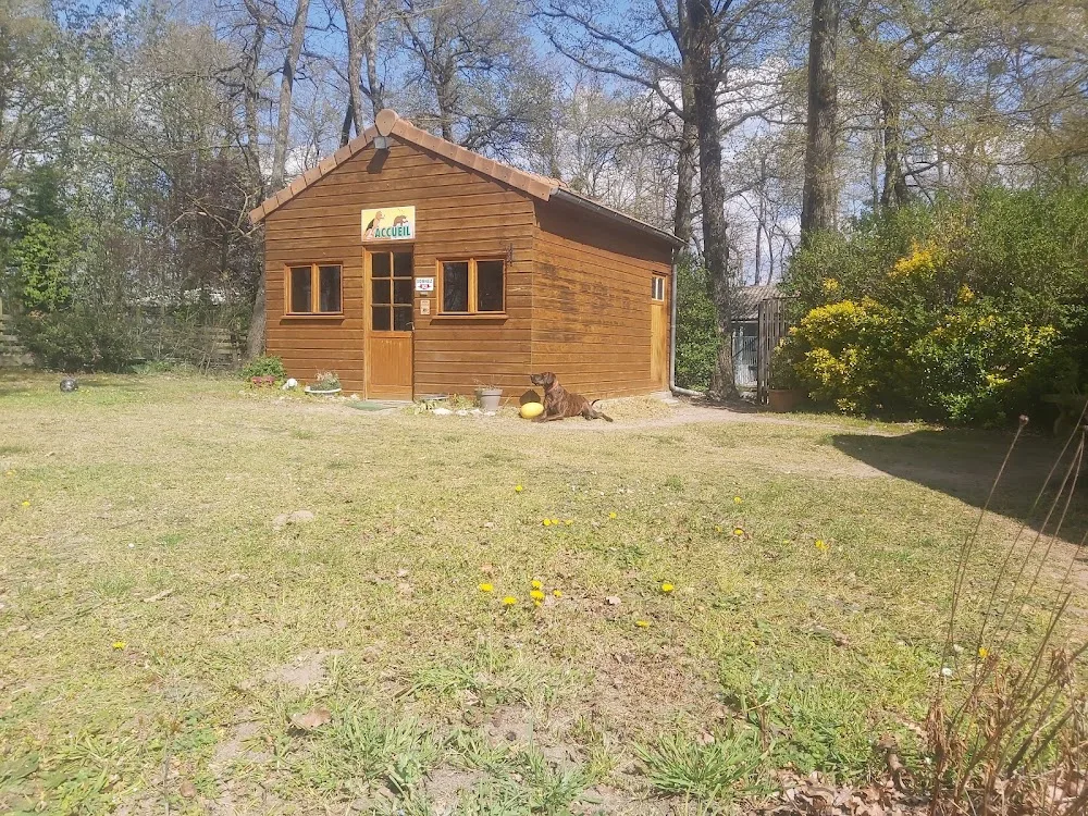 Pension Les Cadioux - Centre-Val de Loire pet otel