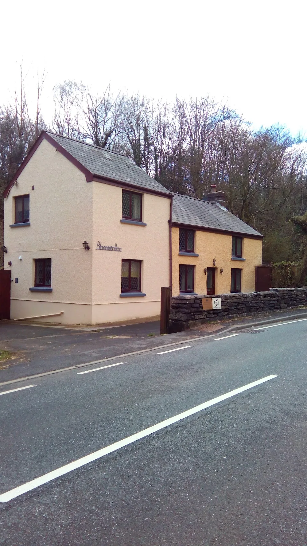 Blaenwinllan Boarding Cattery - Ceredigion pet otel