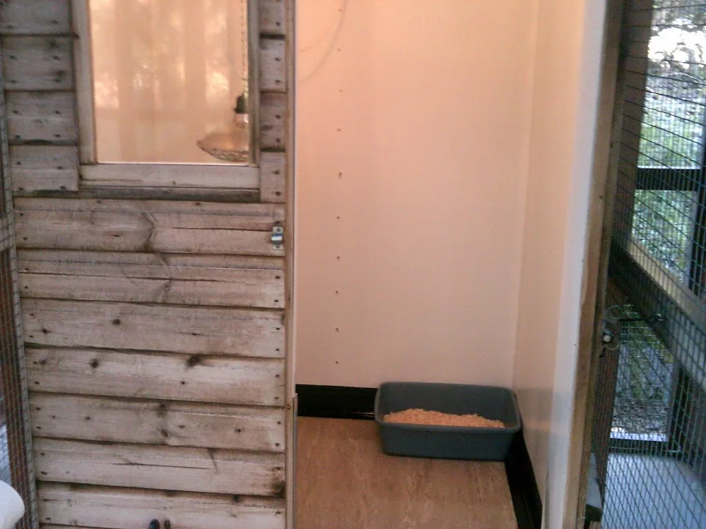 Blaenwinllan Boarding Cattery - Ceredigion pet otel görseli 3