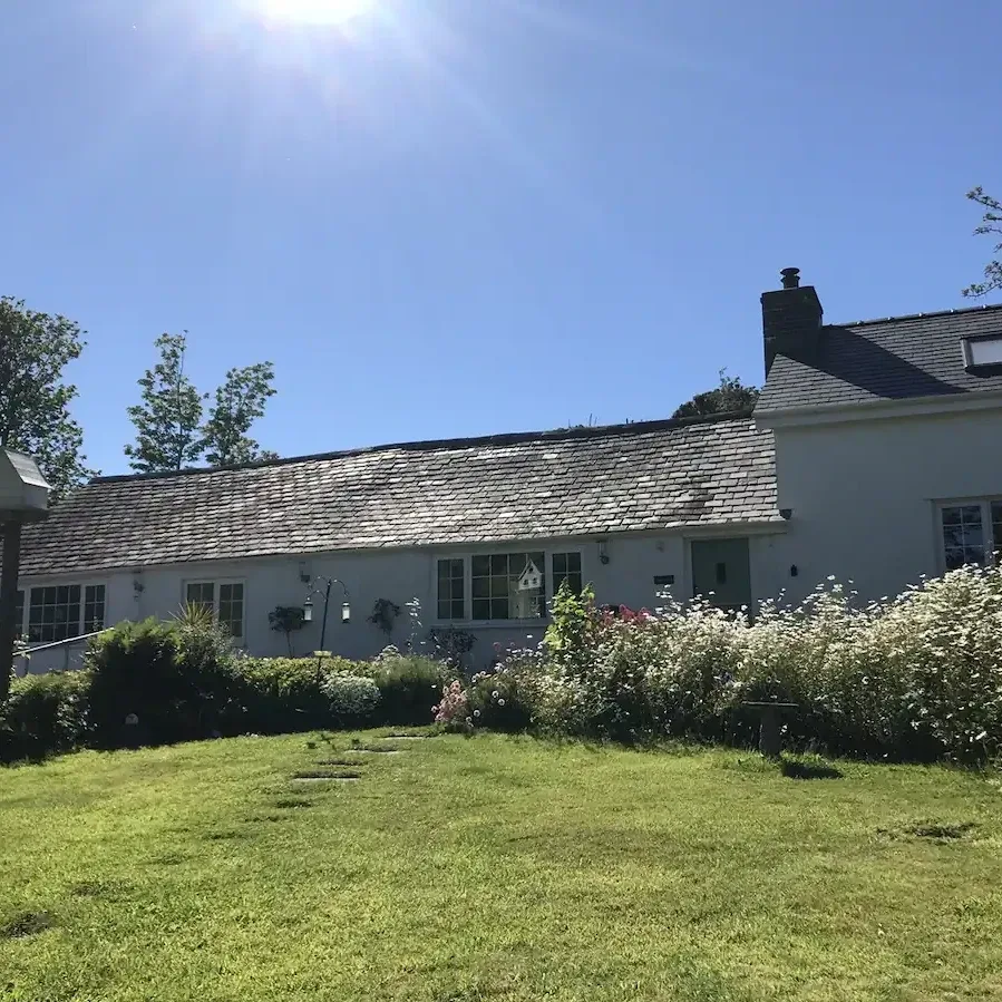 Ceredigion Dog Boarding - Ceredigion pet otel görseli 4