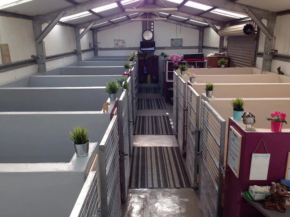 Clwb Boarding Kennels - Ceredigion pet otel görseli 3