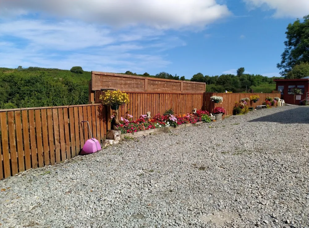 Kelsion Boarding Kennels - Ceredigion pet otel