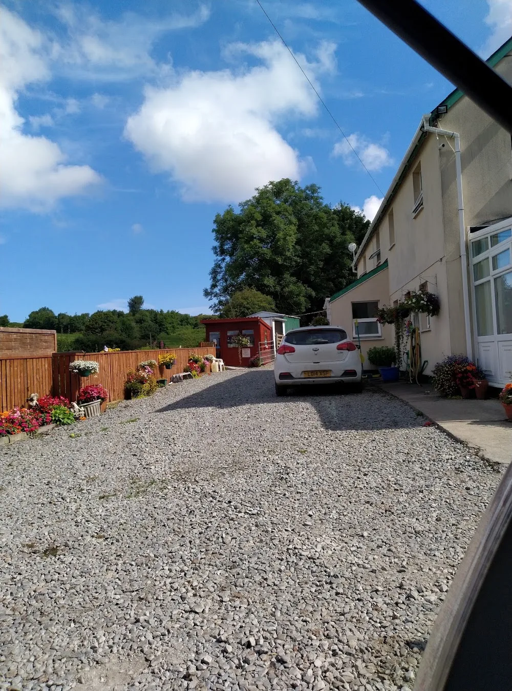 Kelsion Boarding Kennels - Ceredigion pet otel görseli 3