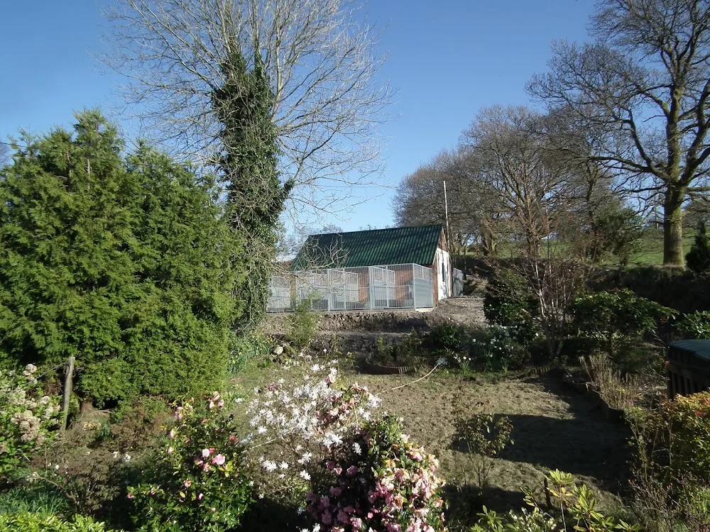 Mountain View Boarding Kennels - Ceredigion pet otel görseli 2