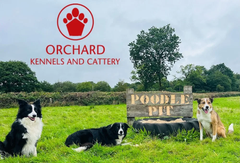 Orchard Kennels & Cattery - Ceredigion pet otel